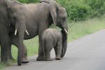 safrica_dec_13_image59.jpg